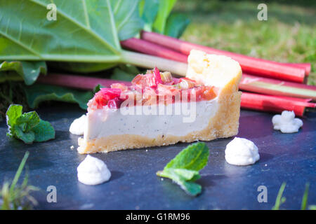 Rhabarber-Kuchen-Scheibe zwischen Rhabarber, Minze und Pannacotta, im Garten Stockfoto