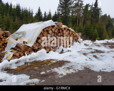 Haufen von Braun Brennholz anmeldet, an einem kalten Wintertag Stockfoto