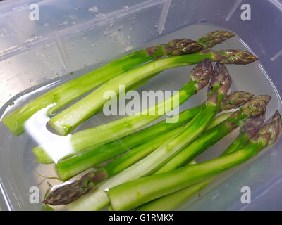 Geschälten grünen Spargel, immer bereit, in Wasser, bei einer Restaurantküche Stockfoto
