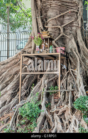 Ein kleiner buddhistischer Baum Schrein in Yangon, Myanmar. Baum dient ein kleiner buddhistischer Schrein. Stockfoto