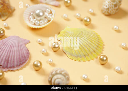 Zusammensetzung der verschiedenen Arten von Perlen und Muscheln Stockfoto