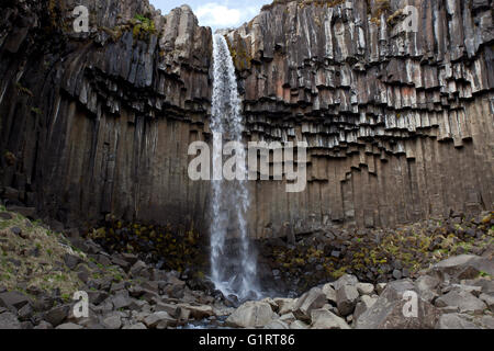 Wasserfall Swartifoss mit Basaltsäulen in Skaftafell, Region Süd, Island Stockfoto