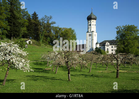 Klosterkirche und Kloster Ursberg, Franziskaner St. Joseph-Gemeinde, Ursberg, Bayern, Deutschland Stockfoto