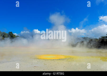 Künstlerpalette, Schwefelquelle, Wai-O-Tapu Thermal Wonderland, Waiotapu Thermal Area, Rotorua, Neuseeland Stockfoto