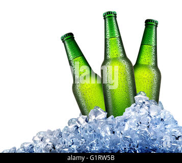 Grüne Flaschen Bier im Eis isoliert auf weiss Stockfoto