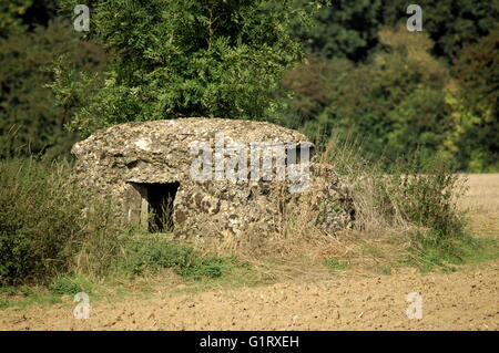 AJAXNETPHOTO. 23. SEPTEMBER 2013. HÉBUTERNE, FRANKREICH. -BUNKER - RESTE EINES ERSTEN WELTKRIEG 1918 BRITISCHE ARMEE MUSTER MASCHINENGEWEHR UND BEOBACHTUNG PFOSTEN IN DER NÄHE DES DORFES MIT BLICK AUF DEN WALD BEI GOMMECOURT.   FOTO: JONATHAN EASTLAND/AJAX REF: D132309 3541 Stockfoto