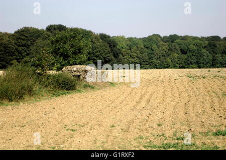 AJAXNETPHOTO. 23. SEPTEMBER 2013. HÉBUTERNE, FRANKREICH. -BUNKER - RESTE EINES ERSTEN WELTKRIEG 1918 BRITISCHE ARMEE MUSTER MASCHINENGEWEHR UND BEOBACHTUNG POST IN DER NÄHE DES DORFES MIT BLICK AUF GOMMECOURT WALD.   FOTO: JONATHAN EASTLAND/AJAX REF: D132309 3537 Stockfoto