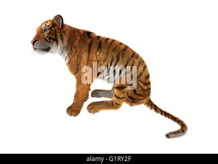 3D-Rendering eine große Katze Tiger sitzen isoliert auf weißem Hintergrund Stockfoto