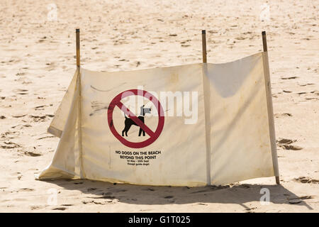 Keine Hunde am Strand über diesen Punkt hinaus anmelden 1. Mai - 30. Sept. mit Ausnahme von Blindenhunden Wind Pause am Strand in Bournemouth im Mai Stockfoto