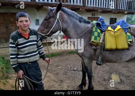 Transport von Milch in Pulun "Las Huaringas" - HUANCABAMBA... Abteilung von Piura. Peru Stockfoto