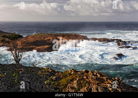 Tosende Wellen und hohe Brandung Pfund die Sandsteinfelsen von Point Lobos State Natural Reserve im kalifornischen Big Sur Küste. Stockfoto