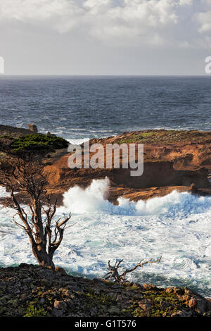 Tosende Wellen und hohe Brandung Pfund die Sandsteinfelsen von Point Lobos State Natural Reserve im kalifornischen Big Sur Küste. Stockfoto