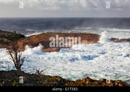 Tosende Wellen und hohe Brandung Pfund die Sandsteinfelsen von Point Lobos State Natural Reserve im kalifornischen Big Sur Küste. Stockfoto