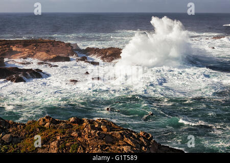 Tosende Wellen und hohe Brandung Pfund die Sandsteinfelsen von Point Lobos State Natural Reserve im kalifornischen Big Sur Küste. Stockfoto