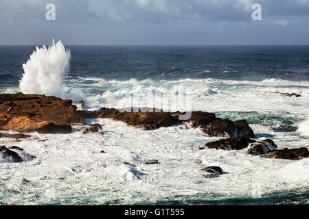 Tosende Wellen und hohe Brandung Pfund die Sandsteinfelsen von Point Lobos State Natural Reserve im kalifornischen Big Sur Küste. Stockfoto