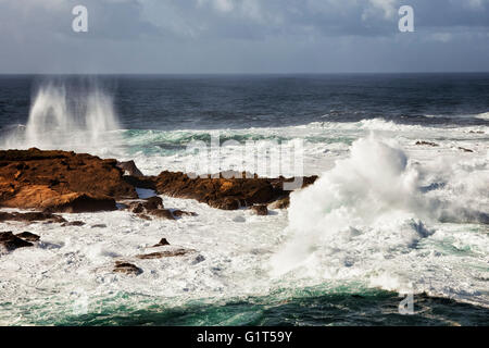 Tosende Wellen und hohe Brandung Pfund die Sandsteinfelsen von Point Lobos State Natural Reserve im kalifornischen Big Sur Küste. Stockfoto