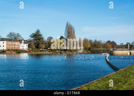 Exeter, Fluß Exe, Devon, England, Vereinigtes Königreich Stockfoto