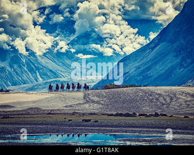 Touristen, Kamelreiten in Nubra Tal im Himalaya, Ladakh Stockfoto