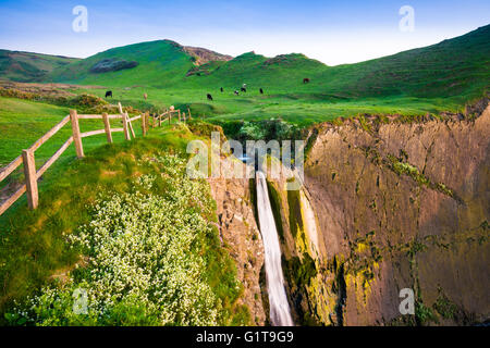Der Wasserfall bei Speke Mühle Mund, Hartland, North Devon, England. Stockfoto