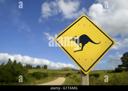 Känguru-Kreuzungen, wild-Tierschutz-Konzept. Straße Zeichen Symbol in Wildnis Umgebung mit Textfreiraum. Stockfoto