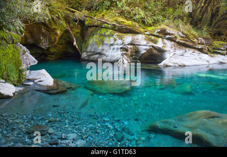 Die Kluft in der Nähe von Milford Sound auf der Südinsel, Neuseeland Stockfoto