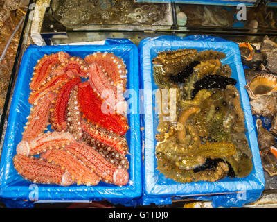Stachelhäuter zu verkaufen, Noryangjin Fischmarkt, Seoul, Südkorea Stockfoto