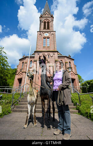 Schiffweiler, Deutschland. 17. Mai 2016. Pastor Wiltrud Bauer, steht zusammen mit Maputo (C) Lama und Alpaka Alejandro, vor der evangelischen Kirche in Schiffweiler, Deutschland, 17. Mai 2016. Bauer verwendet die Tiere in ihrer Pfarrei, um spirituelle Wohlergehen zu fördern. Foto: OLIVER DIETZE/Dpa/Alamy Live News Stockfoto