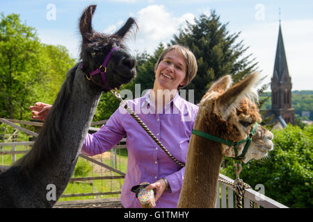 Schiffweiler, Deutschland. 17. Mai 2016. Pastor Wiltrud Bauer, steht zusammen mit Maputo (L) Lama und Alpaka Alejandro, auf der Terrasse der Pfarrsaal in Schiffweiler, Deutschland, 17. Mai 2016. Bauer verwendet die Tiere in ihrer Pfarrei, um spirituelle Wohlergehen zu fördern. Foto: OLIVER DIETZE/Dpa/Alamy Live News Stockfoto