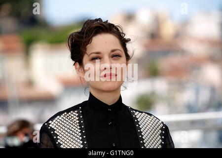 Cannes, Frankreich. 19. Mai 2016.  Französische Schauspielerin Marion Cotillard besucht die Photocall zum Film "Nur The End Of The World" in der 69. Annual Cannes Film Festival im Palais des Festivals in Cannes, Frankreich, am 19. Mai 2016. Bildnachweis: Dpa picture Alliance/Alamy Live News Stockfoto