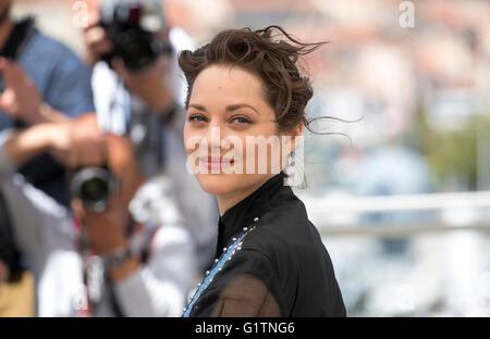 Cannes, Frankreich. 19. Mai 2016.  Französische Schauspielerin Marion Cotillard besucht die Photocall zum Film "Nur The End Of The World" in der 69. Annual Cannes Film Festival im Palais des Festivals in Cannes, Frankreich, am 19. Mai 2016. Bildnachweis: Dpa picture Alliance/Alamy Live News Stockfoto