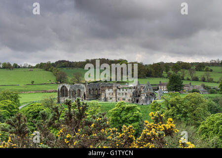 Egglestone Abtei, Barnard Castle, Teesdale, County Durham UK.  Freitag, 20. Mai 2016. Großbritannien Wetter.  Es war ein dumpf und trübe Start in den Tag im Norden Englands, aber sonnig werden voraussichtlich im Laufe des morgens zu entwickeln.  Kräftige Schauer und allgemeinere Regen wird voraussichtlich gegen Einbruch der Dunkelheit ankommen. Bildnachweis: David Forster/Alamy Live-Nachrichten Stockfoto