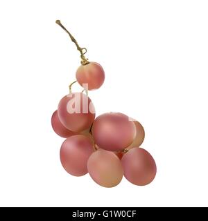 Glühende reife Beeren der roten Trauben Stock Vektor