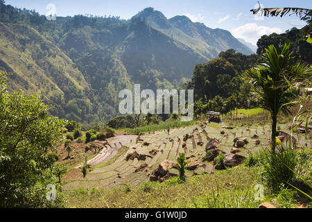 Sri Lanka, Ella, steil abfallenden Terrassen Ackerland auf der Ella Rock Stockfoto