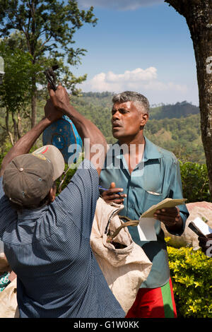 Sri Lanka, Ella, Finlays Newburgh Green Tea Estate Fabrik, Aufseher mit einem Gewicht von Beute Stockfoto