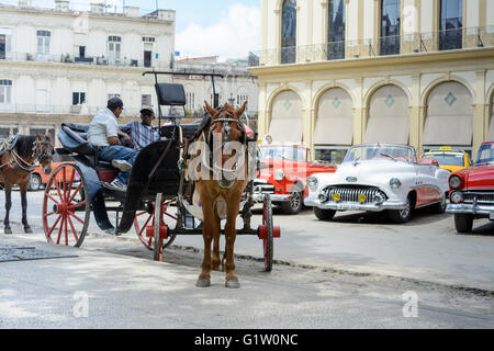 Pferdekutsche Kutsche Taxi mit Oldtimern im Parque Central, Alt-Havanna, Kuba Stockfoto