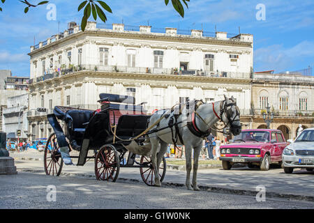 Pferdekutsche Kutsche Taxi im Parque Central, Alt-Havanna, Kuba Stockfoto