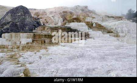 Yellowstone National Park, UNESCO World Heritage Site, Wyoming, USA Stockfoto