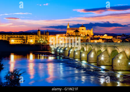 Skyline von Cordoba und Kathedrale bei Nacht Stockfoto