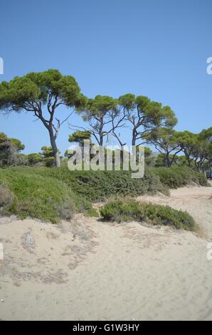 Ein Tag am Strand mit der Familie. Strand Schinias Marathonas Stadt 42 Killometers Weg von der Mitte von Athen, Griechenland. Stockfoto