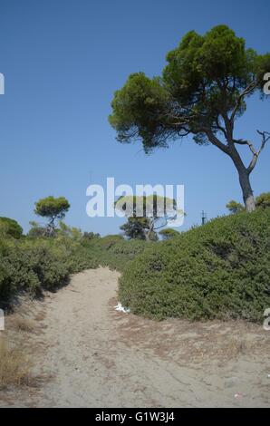 Ein Tag am Strand mit der Familie. Strand Schinias Marathonas Stadt 42 Killometers Weg von der Mitte von Athen, Griechenland. Stockfoto