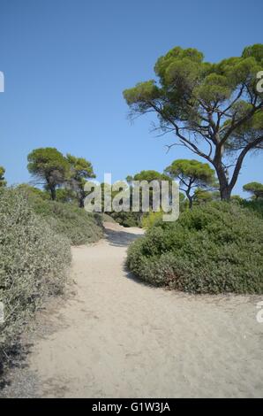 Ein Tag am Strand mit der Familie. Strand Schinias Marathonas Stadt 42 Killometers Weg von der Mitte von Athen, Griechenland. Stockfoto