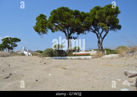 Ein Tag am Strand mit der Familie. Strand Schinias Marathonas Stadt 42 Killometers Weg von der Mitte von Athen, Griechenland. Stockfoto