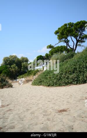 Ein Tag am Strand mit der Familie. Strand Schinias Marathonas Stadt 42 Killometers Weg von der Mitte von Athen, Griechenland. Stockfoto