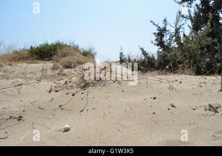 Ein Tag am Strand mit der Familie. Strand Schinias Marathonas Stadt 42 Killometers Weg von der Mitte von Athen, Griechenland. Stockfoto