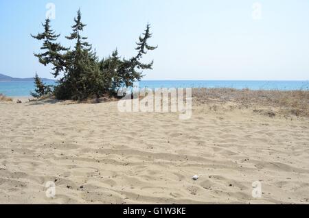 Ein Tag am Strand mit der Familie. Strand Schinias Marathonas Stadt 42 Killometers Weg von der Mitte von Athen, Griechenland. Stockfoto