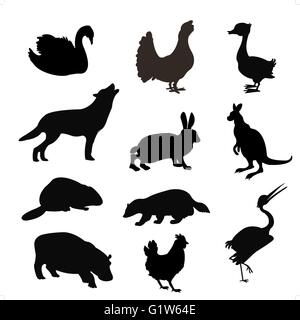 Schwarze Silhouetten der Tiere und Vögel auf weißem Hintergrund Stock Vektor