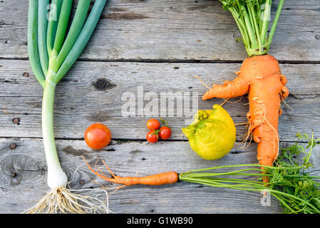 Trendige Bio Karotten, Tomaten, Lauch und Zitrone aus dem Hause Garten Bett auf Scheune Holztisch, australische gewachsen. Stockfoto