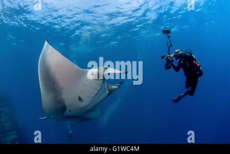 Fotograf fängt Bild von Pacific Manta (Manta Hamiltoni) Stockfoto