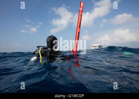 Signalboje, die an der Oberfläche des Tauchers Lage an der Oberfläche des Ozeans sichtbarer machen bläst. Stockfoto