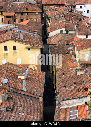 Terrakotta-Dächer in mittelalterlichen Lucca, Italien Stockfoto